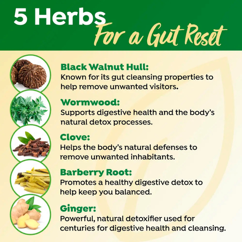 Ask The Expert - Empower Your Health with Dr. Ed Group