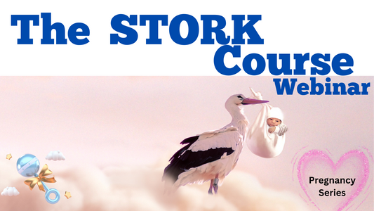 Pregnancy Series - The Stork Course Webinar