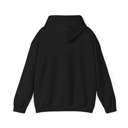 I Vote for Jesus- Hooded Sweatshirt