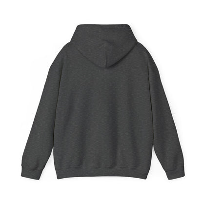 I Vote for Jesus- Hooded Sweatshirt