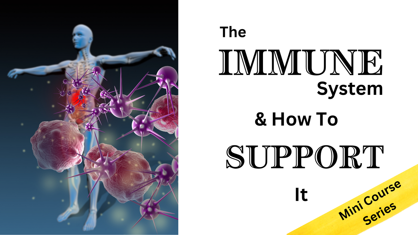 The Immune System & How to Support It - Mini Course Series 2