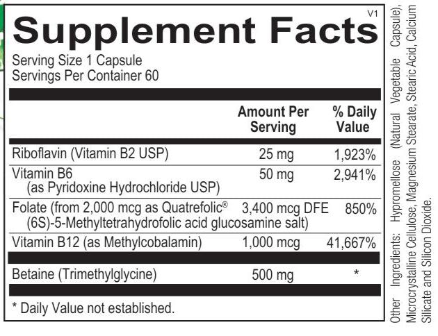 Opti Active Folate Supplement Facts detailing ingredients and nutritional information for optimal health support.